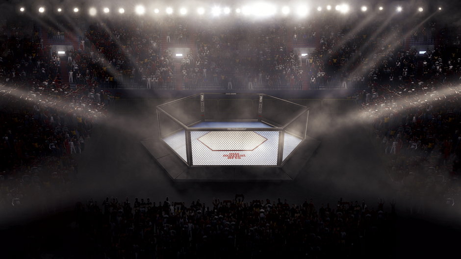 MMA Arena