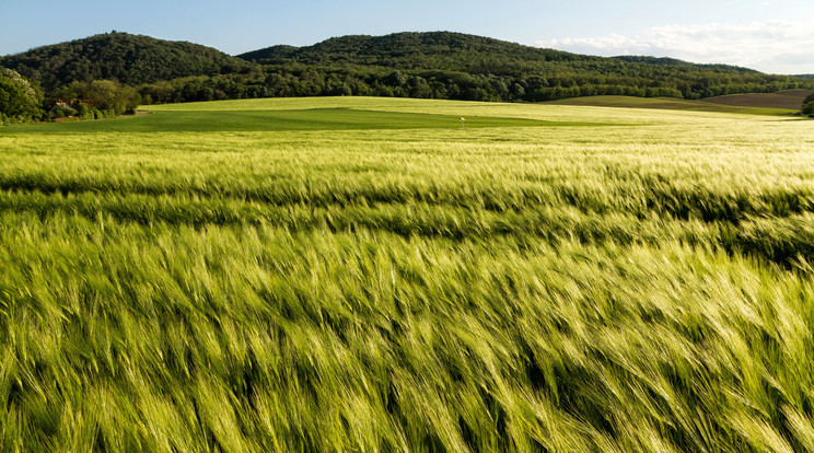 Meleg, száraz idő jön/Illusztráció: Shutterstock