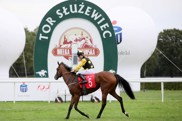 Pride of Nelson triumfatorką 106. edycji Wielkiej Warszawskiej