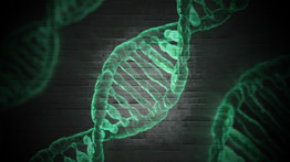 Áttörték a tudomány falát a szakértők: elkészült a teljes emberi géntérkép 