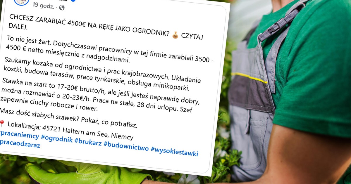 Szukają "kozaka od ogrodnictwa". Warunki robią wrażenie