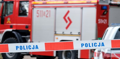 Makabra w Gdańsku. Znaleziono ciało mężczyzny i dwa martwe koty