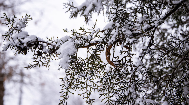 Esővel, havazással érkezett meg a front csapadékzónája / Fotó: Northfoto