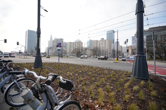 Zieleń zamiast betonu. Tak Warszawa walczy z wyspami ciepła w mieście!