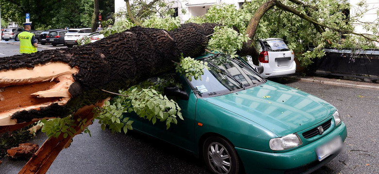 Powalone drzewa, zniszczone samochody, połamane gałęzie. Skutki nawałnicy w Warszawie