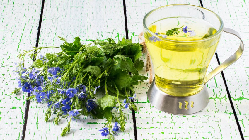 Vérrög elleni gyógynövények - ezek a leghatékonyabbak