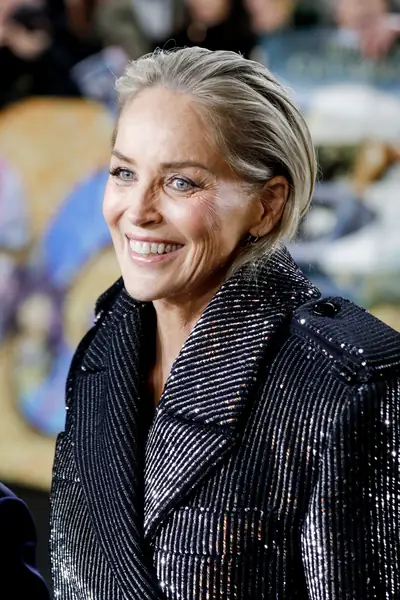 Sharon Stone dziś / Getty Images / Isa Foltin