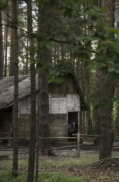 Ośrodek wypoczynkowy Fryszerka, opisany przez Marcina Wojdaka w książce "Ostatni turnus"