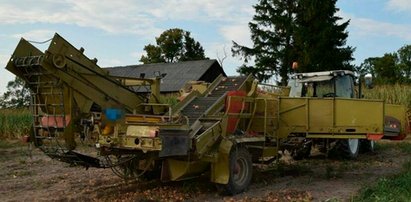 Makabryczny wypadek podczas żniw. Kombajn wciągnął rękę nastolatka pracującego przy zbiorze cebuli