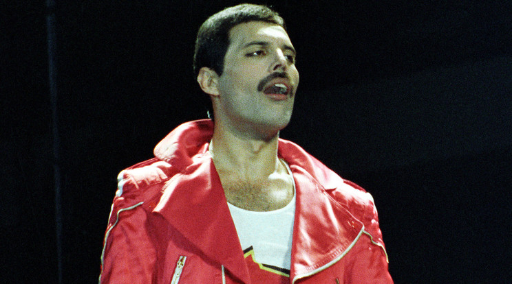 A Queen frontembere, Freddie Mercury is AIDS-ben halt meg. /Fotó: Getty Images