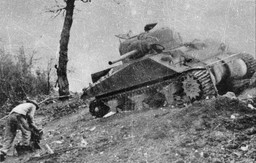 Nie tylko Grunwald. Sprawdź, czy znasz najważniejsze bitwy w historii Polski [QUIZ]