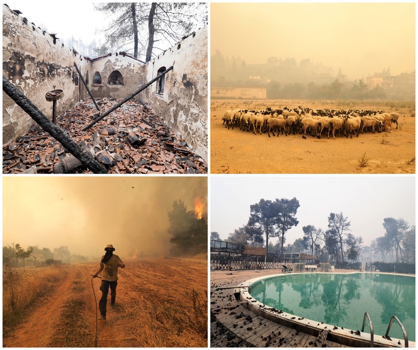 Dani užasa: Požari su do neprepoznatljivosti spržili grčko ostrvo Eviju