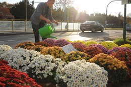 Rząd uderzył w biznes małych przedsiębiorców. Samorządy wyciągają do nich rękę