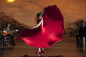 "Flamenco, flamenco"