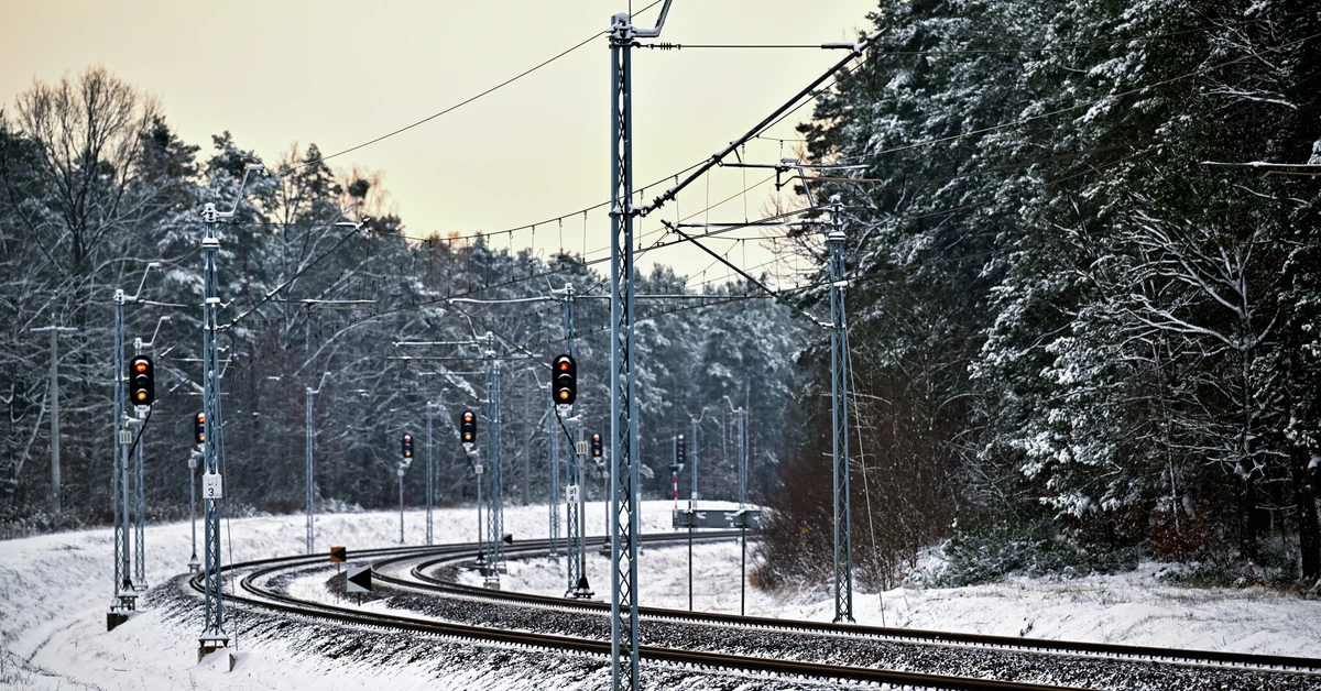 Dywersja w Polsce. Wyniki sondażu uderzają w państwo