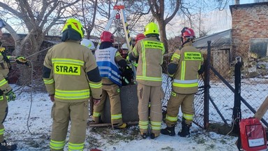 Strażacy uratowali uwięzionego w studni kota