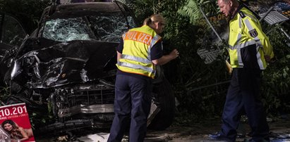 Zabił cztery osoby na pasach. Śledczy mają dwie hipotezy