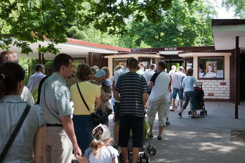 Zróbcie więcej parkingów przy zoo