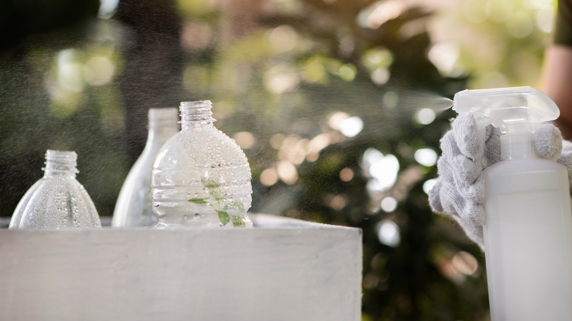 Na jednoduché samozavlažovanie stačí plastová fľaša, nožnice a pár minút času. (ilustračná foto)