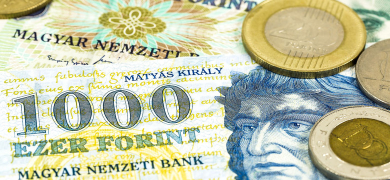NBP powinien być jak Narodowy Bank Węgier? Co naśladować, a nad czym lepiej się zastanowić