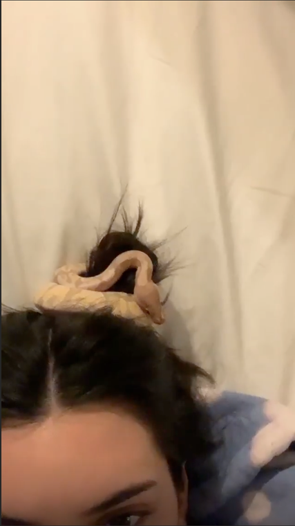 Kendall Jenner Instagrams Her Pet Snake In Her Hair 