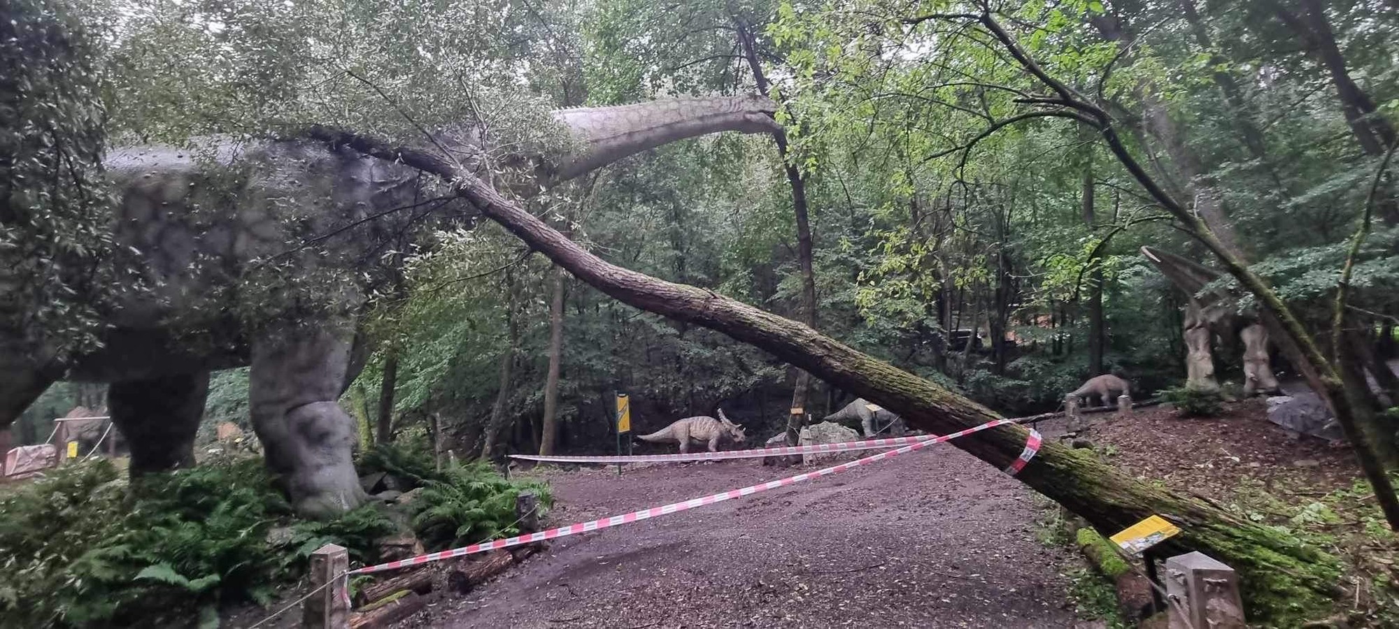 Búrka spôsobila v košickej zoo spúšť.