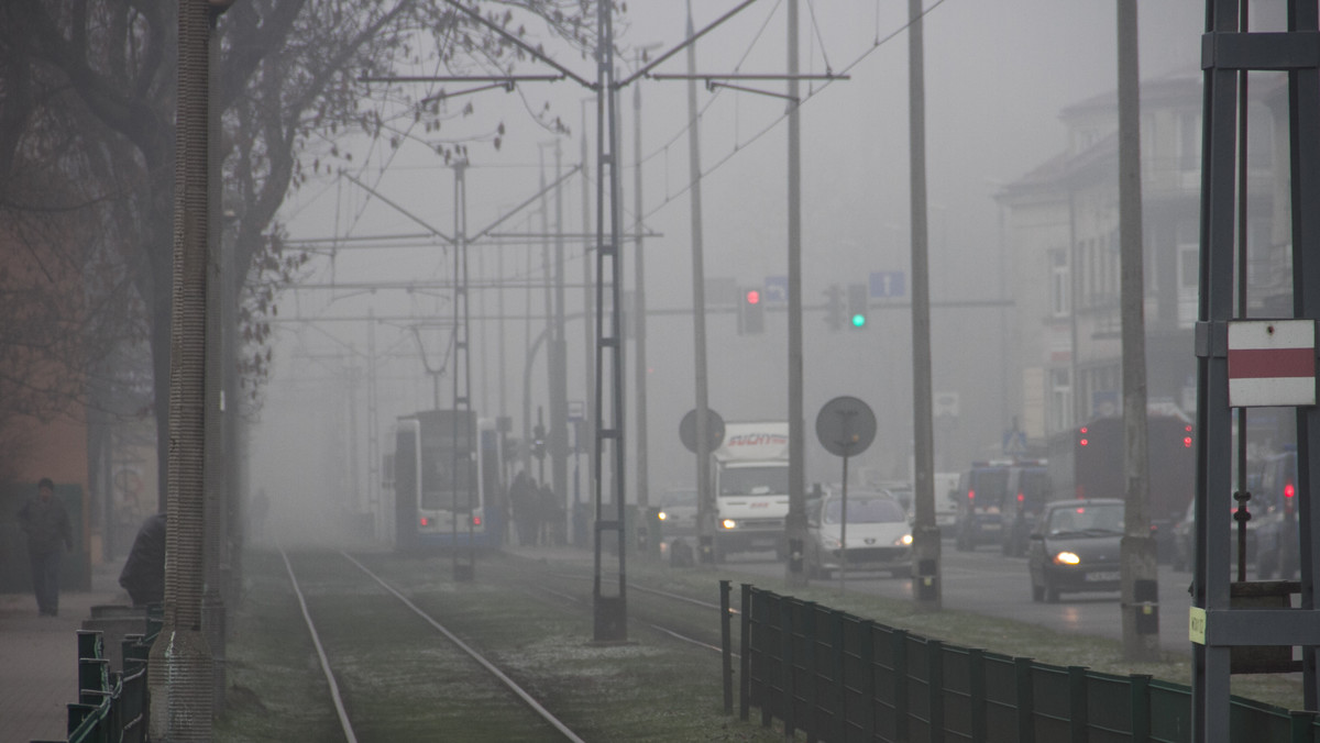 Wrocław, wzorem Krakowa, także ma swój przewodnik po smogu. Broszurę informacyjną dla mieszkańców wydał Dolnośląski Alarm Smogowy. Z kilkustronicowej książeczki mieszkańcy mogą dowiedzieć się m.in., czym jest niska emisja i pyły zawieszone oraz jak smog wpływa na nasze zdrowie.