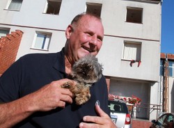 Tomaszewski przyjeżdża do Sejmu z... Diabełkiem