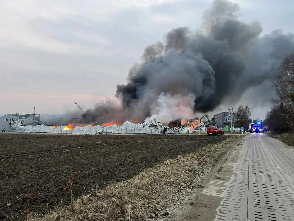  Pożar hal produkcyjnych w Kaninie. W akcji uczestniczy ponad 100 strażaków