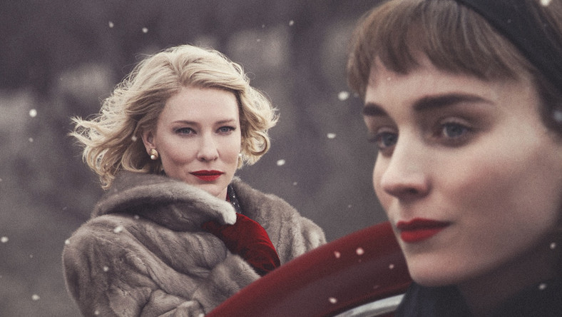 Młoda, nieco zagubiona Therese'a (Rooney Mara) jest sprzedawczynią z centrum handlowego i aspirującą fotografką. Pewnego dnia spotyka dostojną, elegancką, dojrzalszą od siebie mężatkę Carol (Cate Blanchett). Między kobietami rodzi się uczucie.