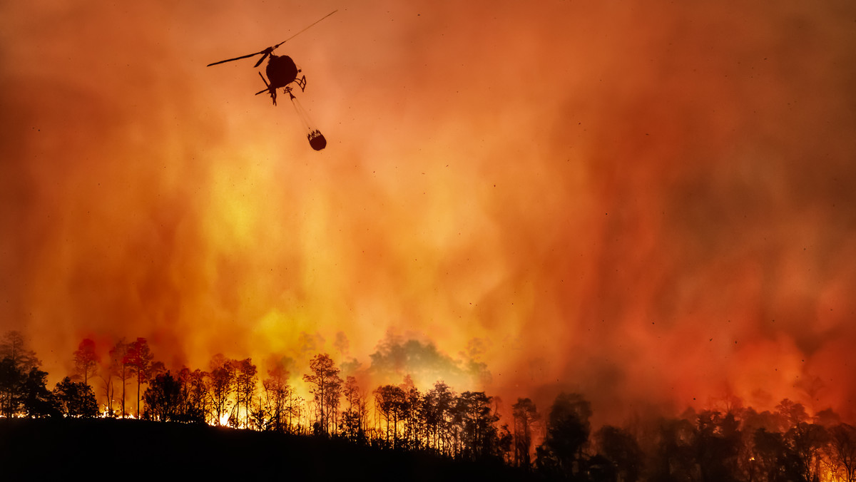Pożary dewastują naturę i wpływają na jakość wody. Naukowcy alarmują