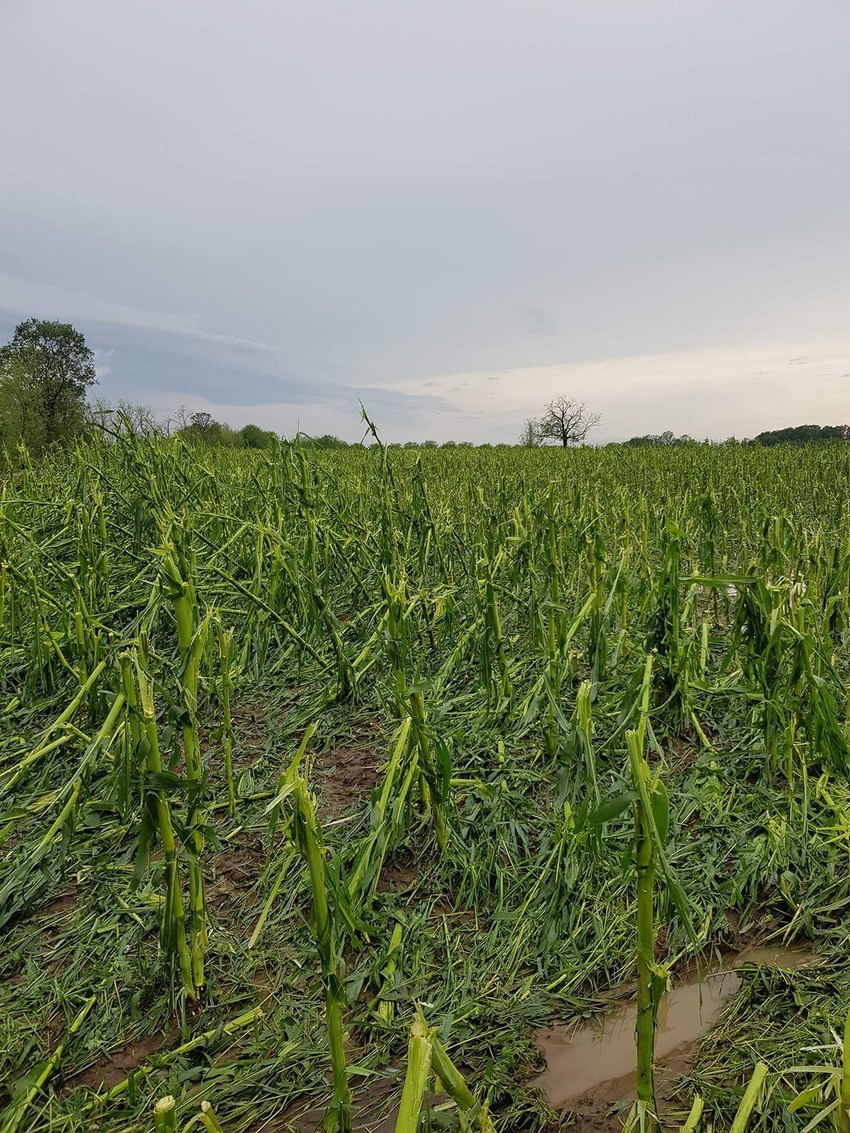 Voda je uništila veliku količinu useva, a procena štete još uvek nije moguća