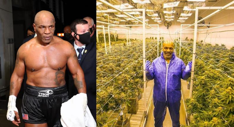 Mike Tyson: Malawi wants ex-boxer to be its cannabis ambassador