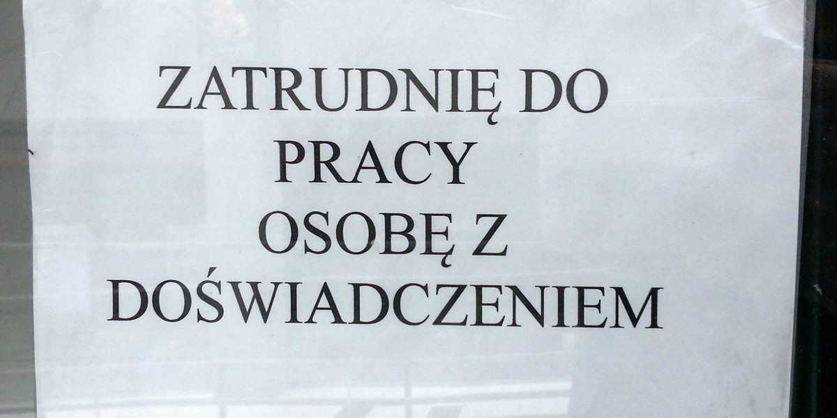 Oferta pracy