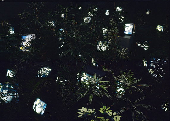 Nam June Paik, "TV Garden, 1974-1977" (2002)