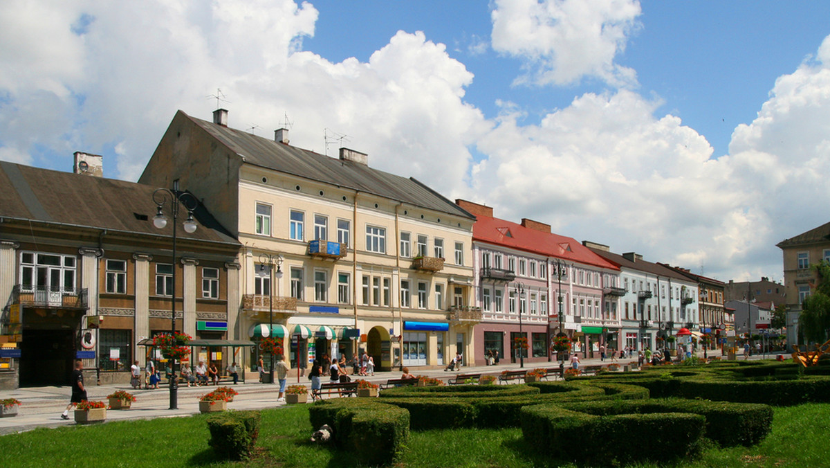 Sprowadzone ze Słowacji jastrzębie, sokoły i myszołowce walczą z gawronami zanieczyszczającymi parki w Radomiu. Drapieżne ptaki mają zniechęcić je do budowania gniazd w centrum i zmusić do przeniesienia się na obrzeża Radomia. Miasto zapłaci sokolnikom blisko 80 tys. zł.