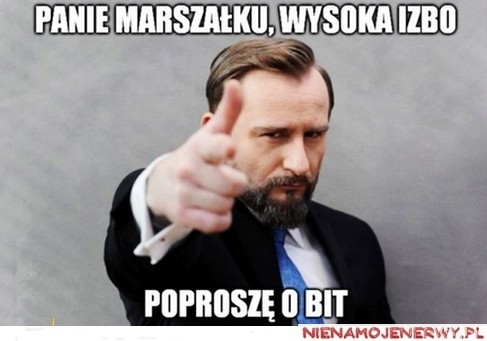 Liroy posłem