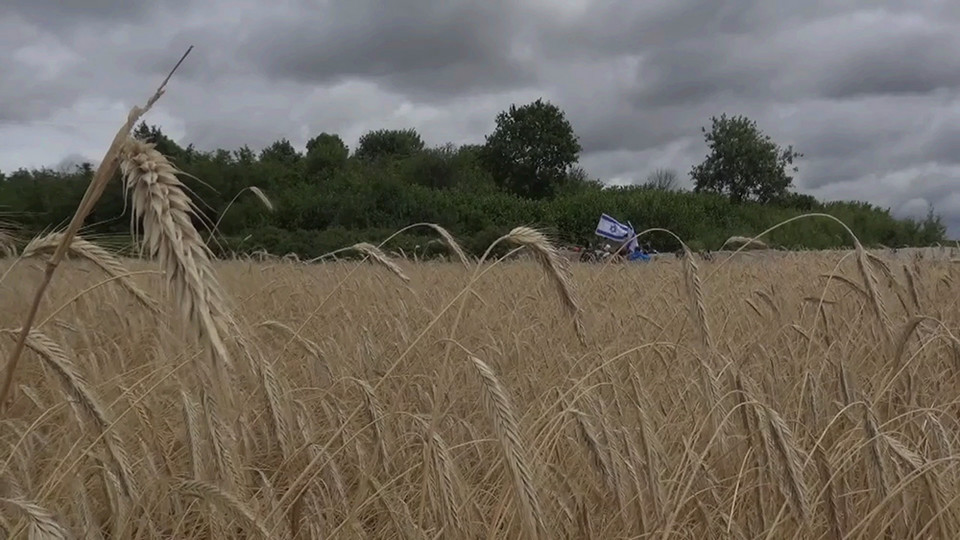 Dorota Nieznalska, "Jedwabne 10.07.2019" (kadr z filmu, 2019)