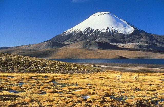 Galeria Chile - między górami a brzegiem oceanu