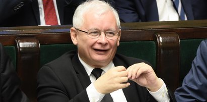 Nie do wiary? To zbiera Kaczyński!