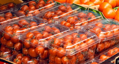 Pomidorki koktajlowe sieją spustoszenie w szkołach. Ofiarą 132 uczniów i 7 nauczycieli