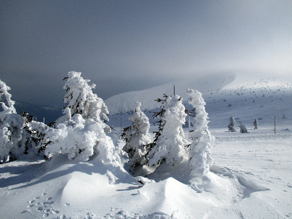 Karkonosze