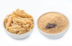 Te kody oznaczają składniki z owadów. Masz je w kupionej żywności