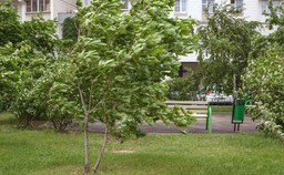 Ponad 22 tys. szkód po wichurach. Natura wystawia słony rachunek ubezpieczycielom