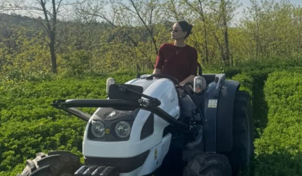 Mirka Vasiljević, objava