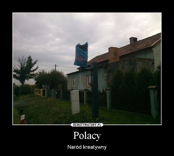 Galeria najlepszych MEMów tygodnia