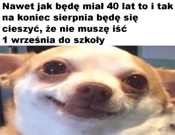 Rozpoczęcie roku szkolnego 2021/2022 oczami internautów - memy