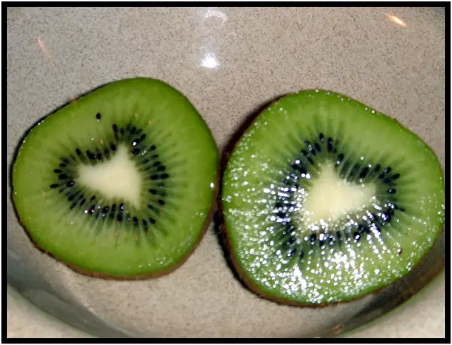 kiwi