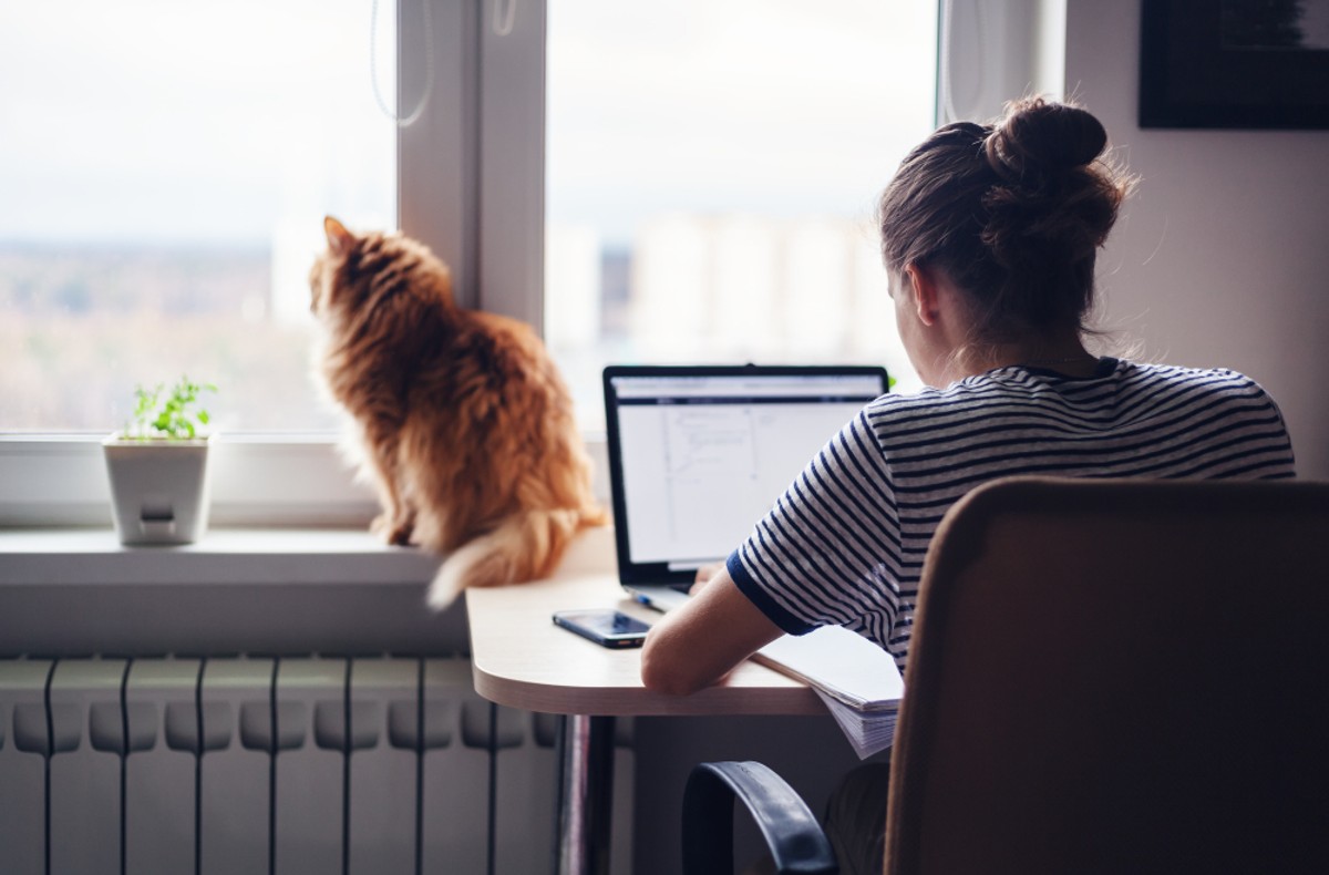 Praca zdalna a work-life balance. Nowe przepisy mają "pomóc pracownikom"