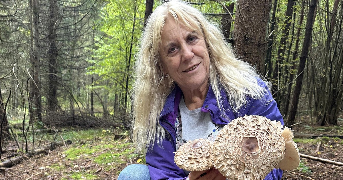 W lasach Warmii kanie rosną jak szalone. Trzeba jednak uważać. Ekspertka ostrzega